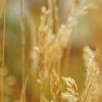 The 1970s – Have a Nice Day – The B Side Live – Ep 09